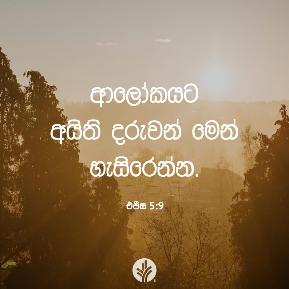 Share ODB 2025-08-07