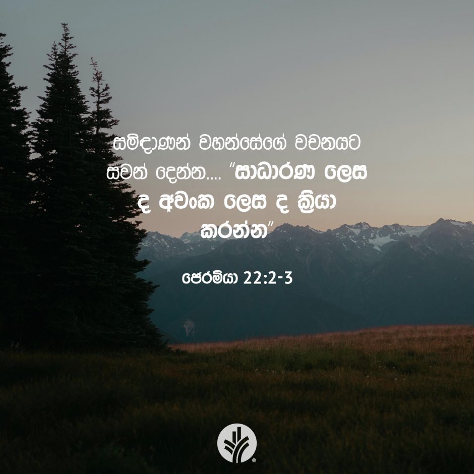 Share ODB 2025-08-08