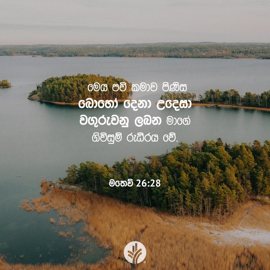 Share ODB 2025-08-09