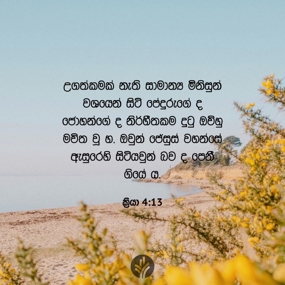Share ODB 2025-08-11