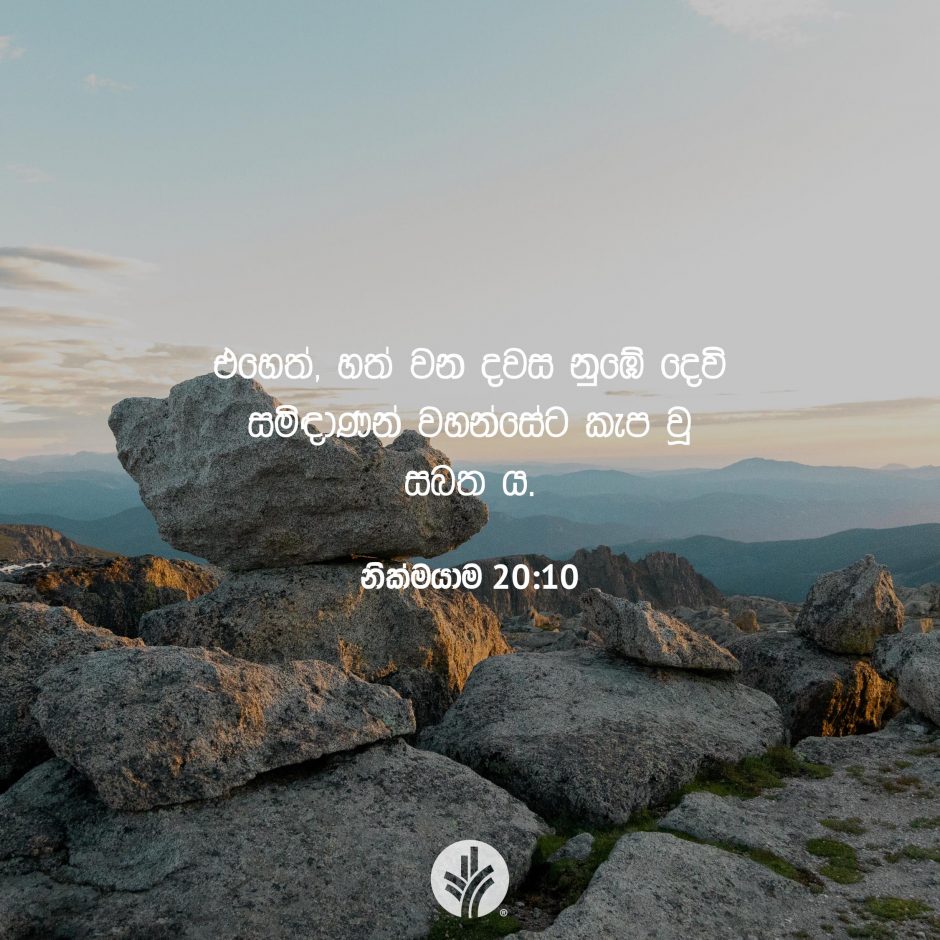 Share ODB 2025-08-12