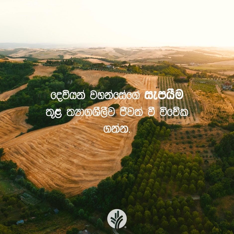 Share ODB 2025-08-14