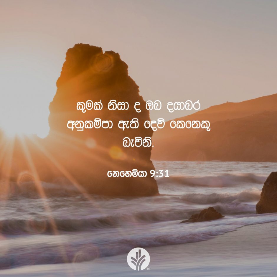 Share ODB 2025-08-15