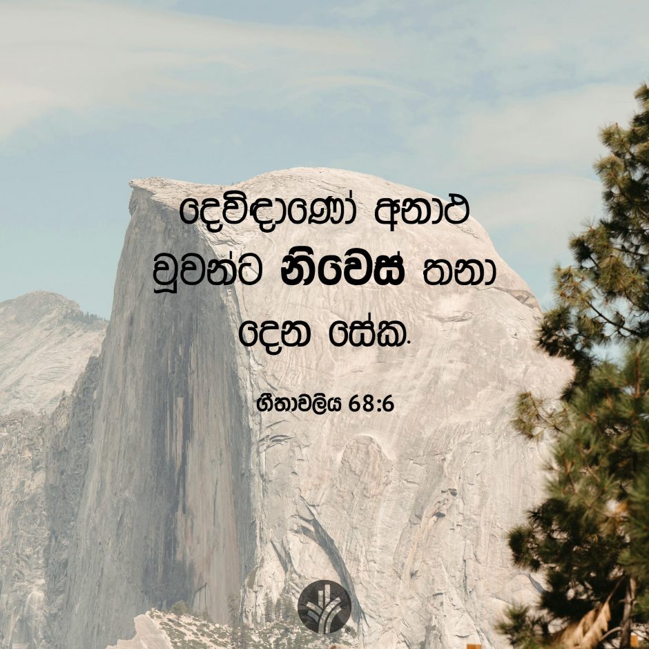 Share ODB 2025-08-16