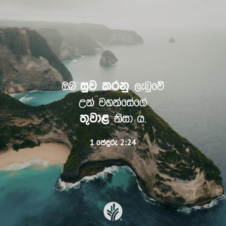 Share ODB 2025-08-17