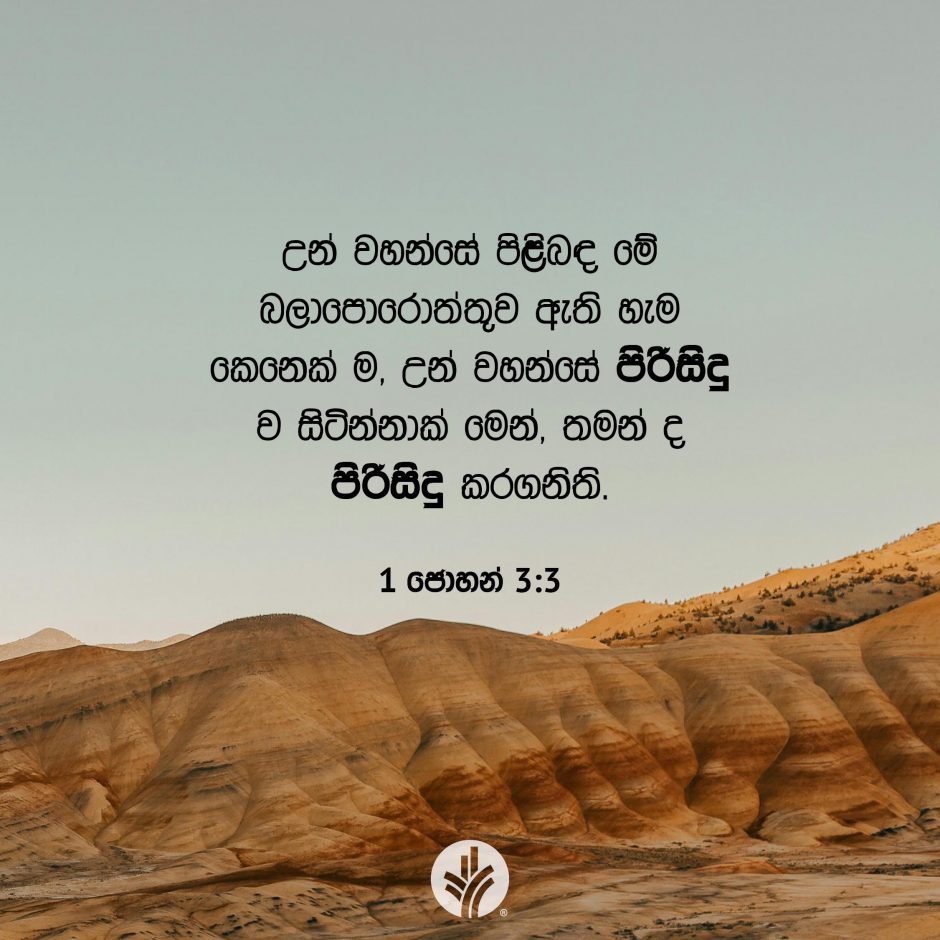 Share ODB 2025-08-18