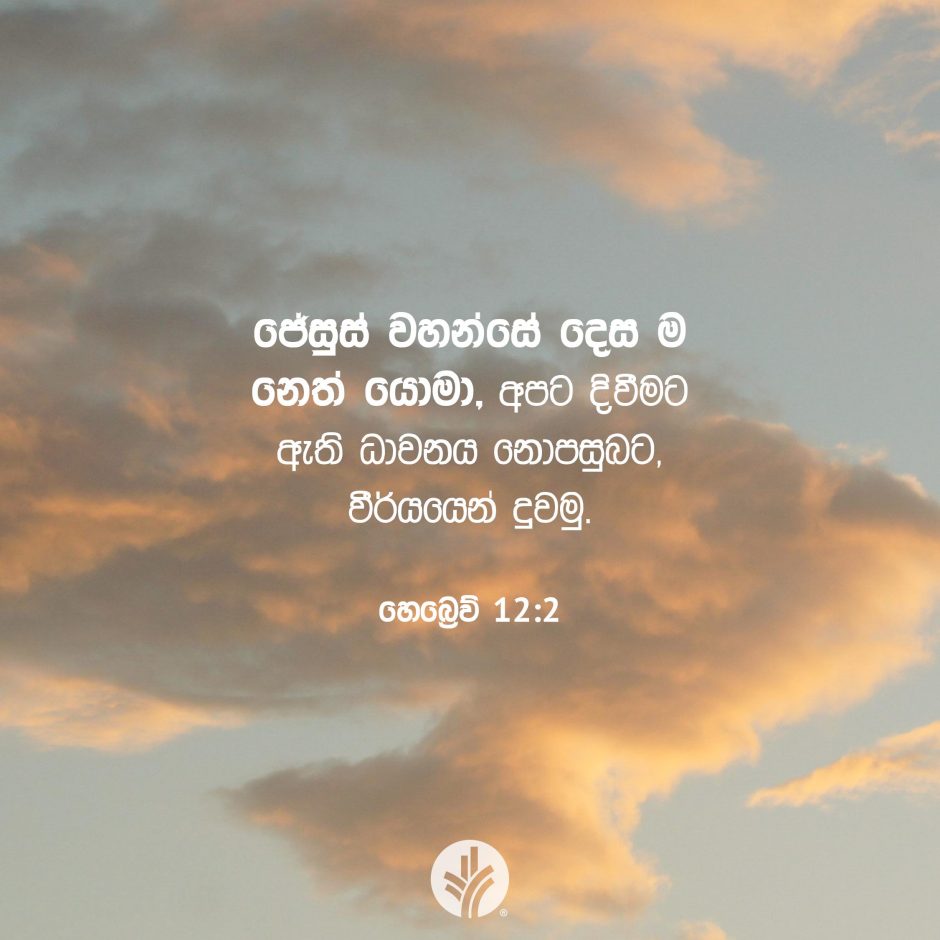 Share ODB 2025-08-20