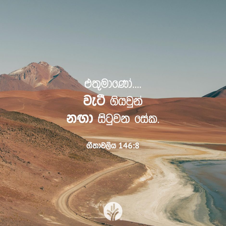 Share ODB 2025-08-22