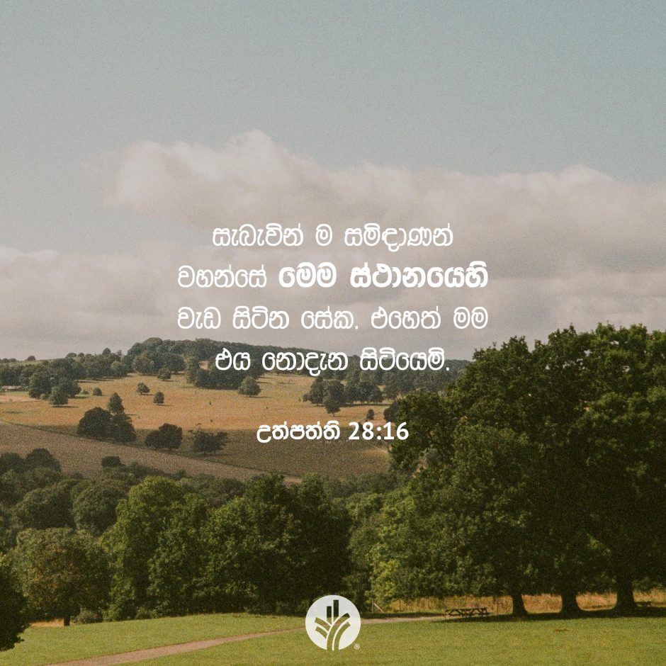 Share ODB 2025-08-24