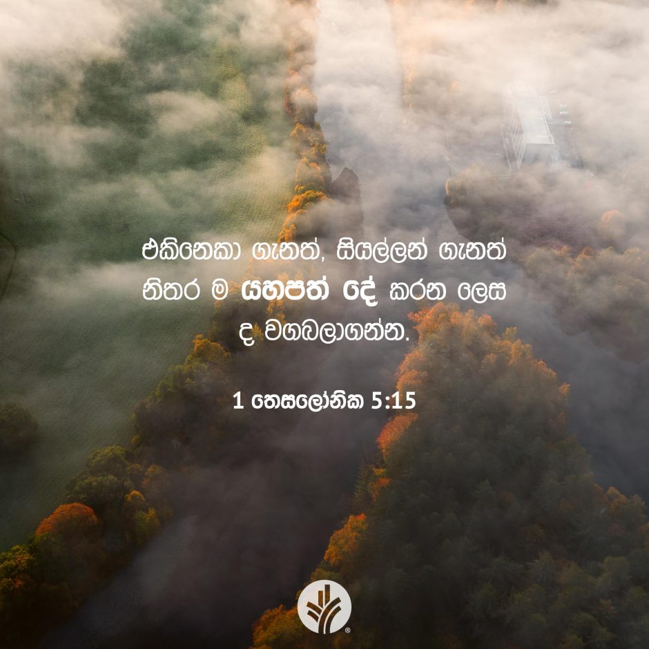 Share ODB 2025-08-25