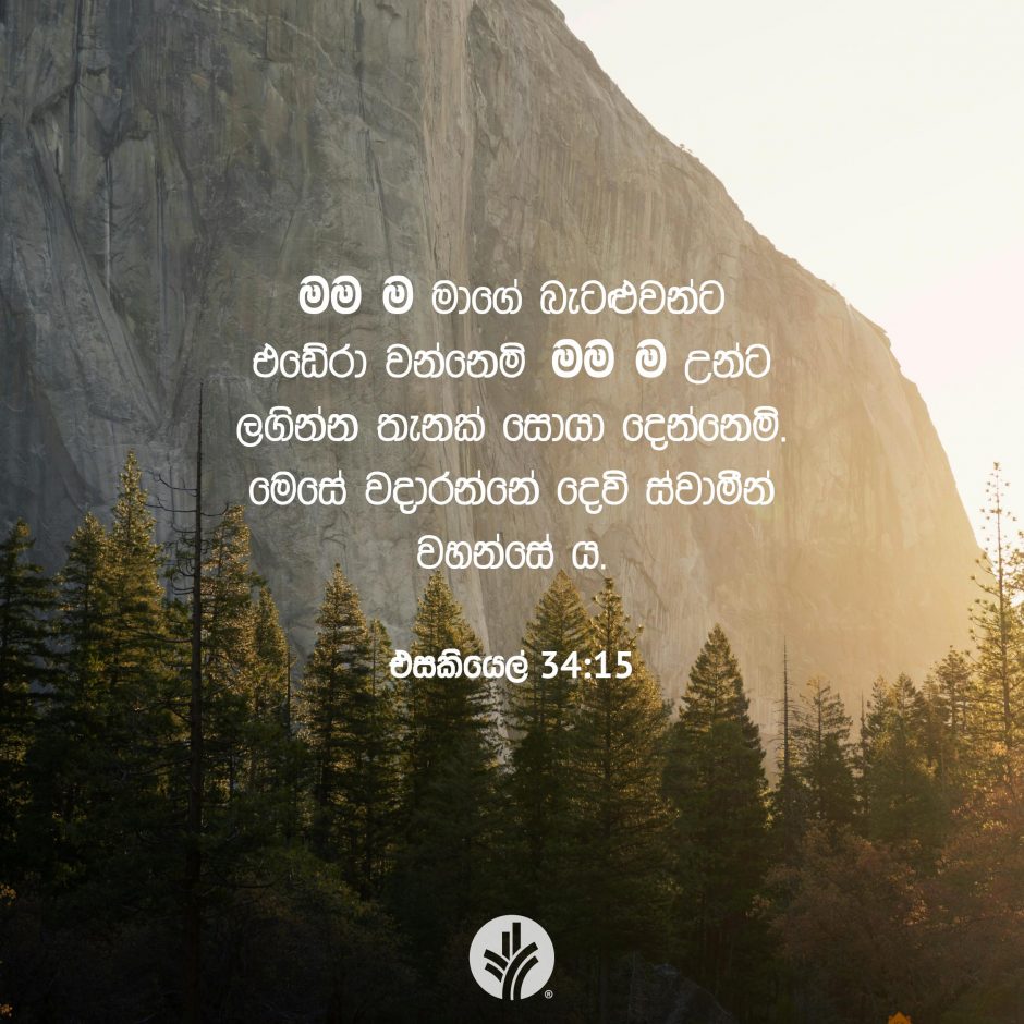 Share ODB 2025-08-26
