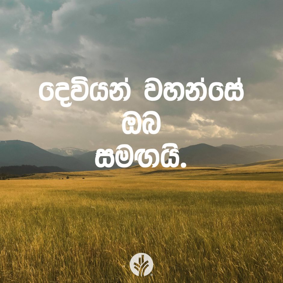 Share ODB 2025-08-29