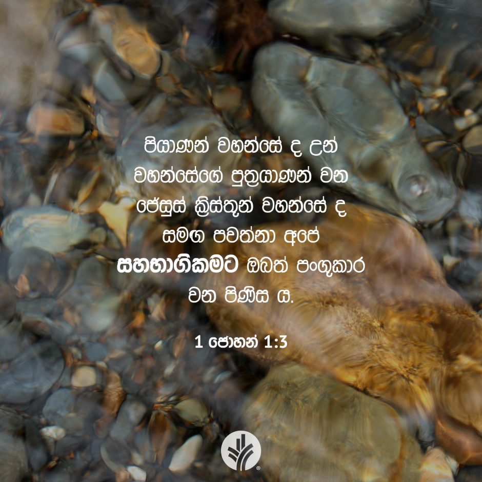 Share ODB 2025-09-01