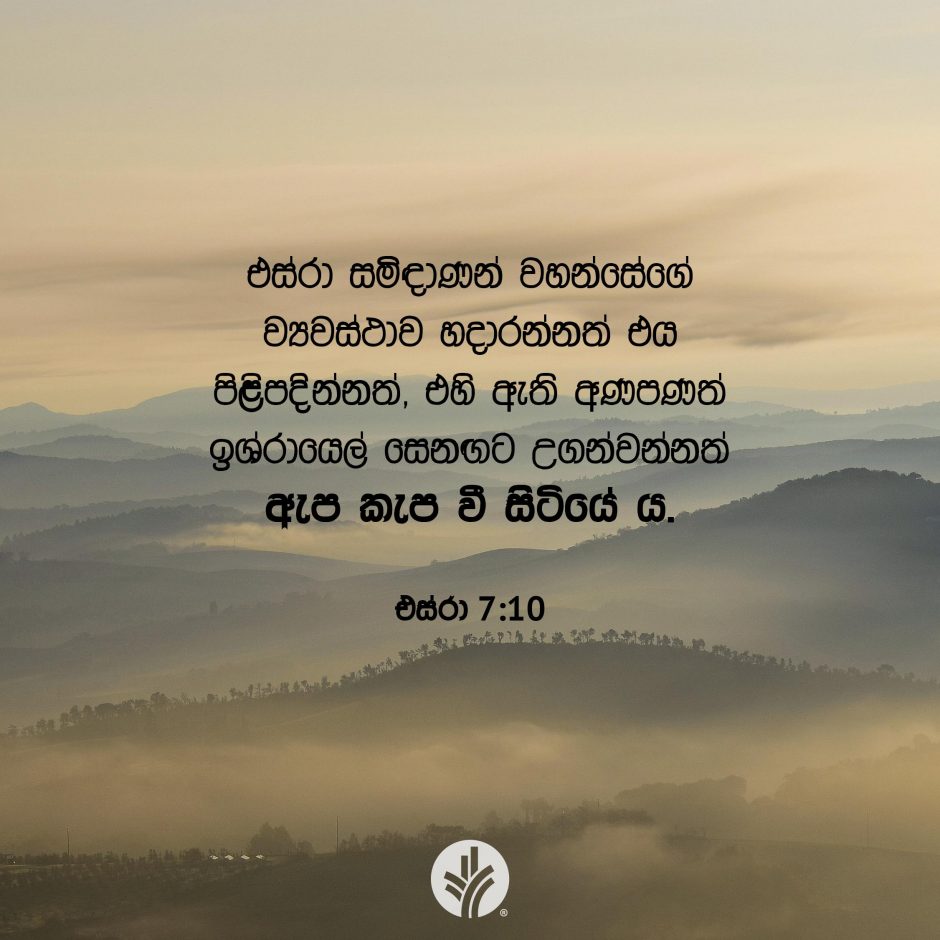 Share ODB 2025-09-04