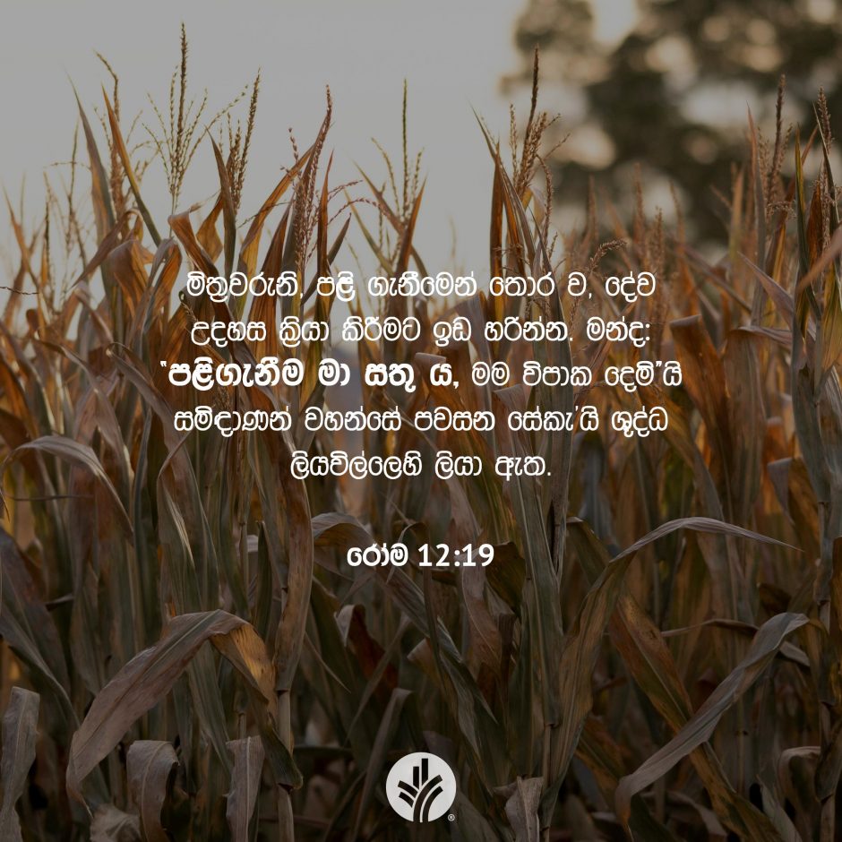 Share ODB 2025-09-06