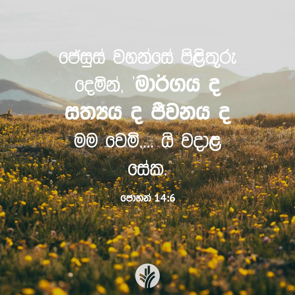 Share ODB 2025-09-08