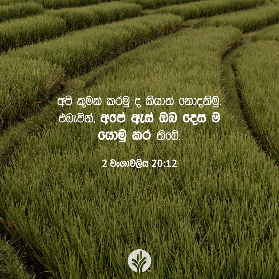 Share ODB 2025-09-10