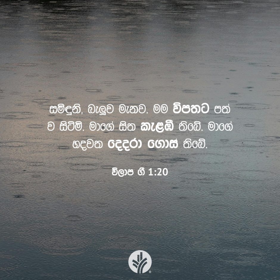 Share ODB 2025-09-11