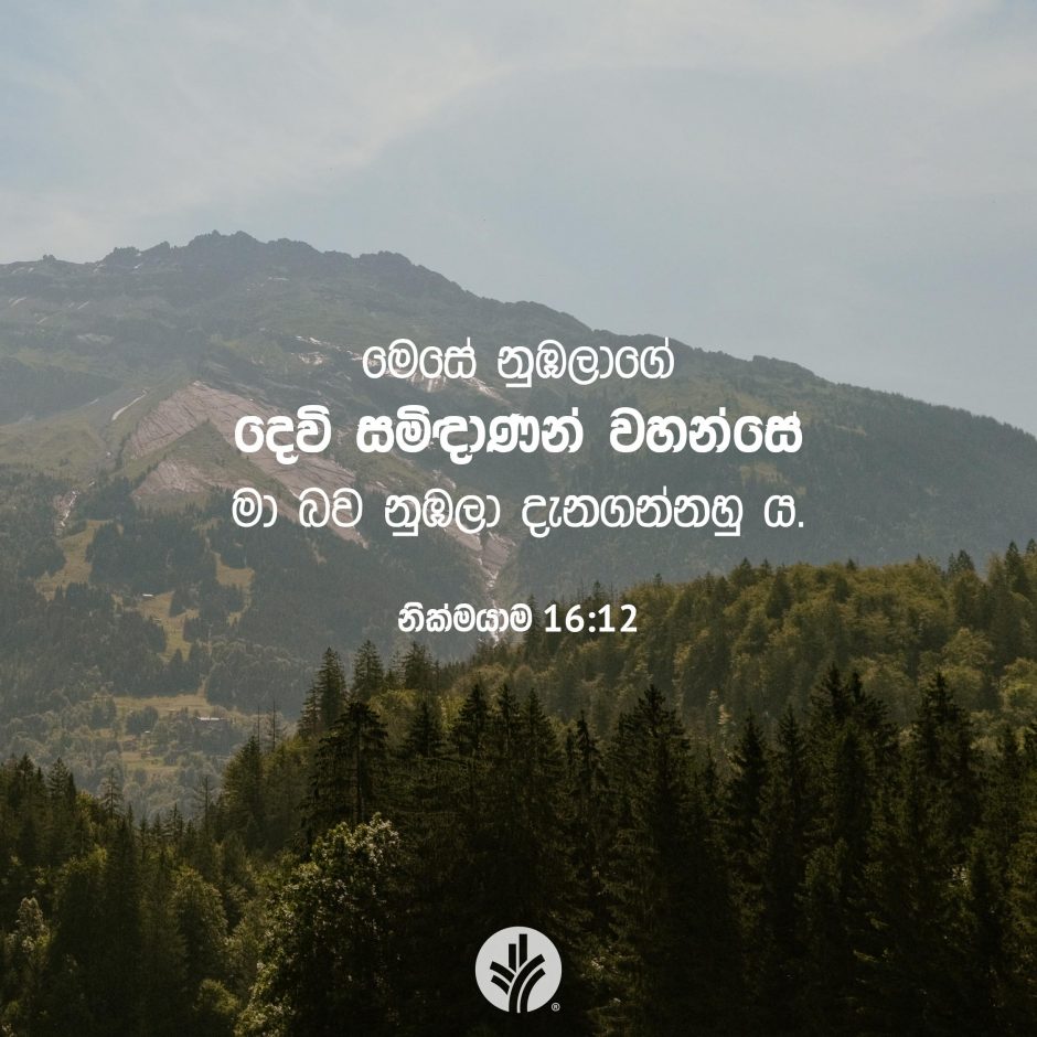Share ODB 2025-09-13