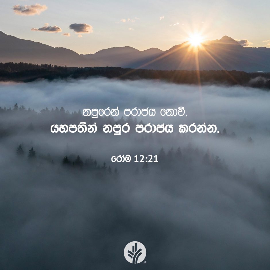 Share ODB 2025-09-16