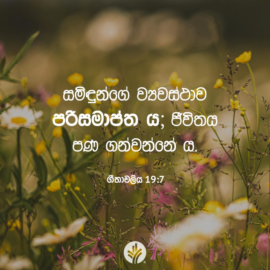 Share ODB 2025-09-20