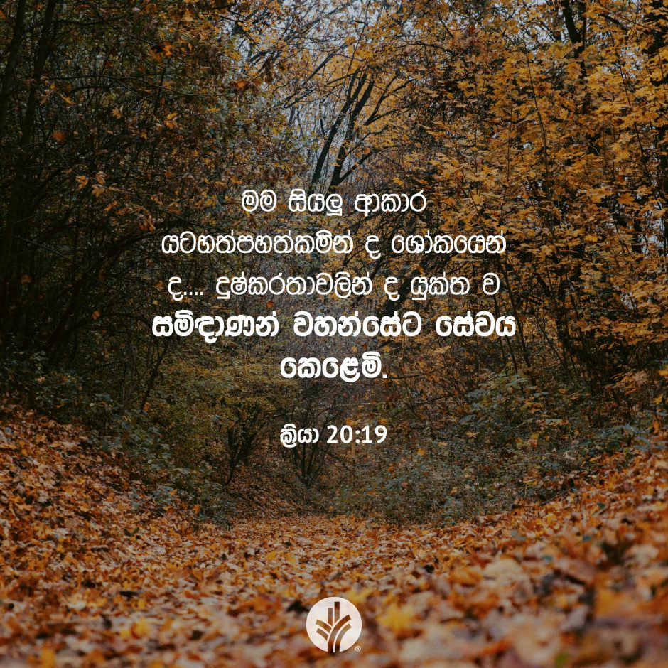 Share ODB 2025-09-23