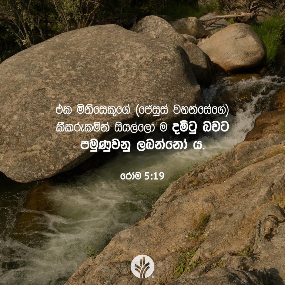 Share ODB 2025-09-26