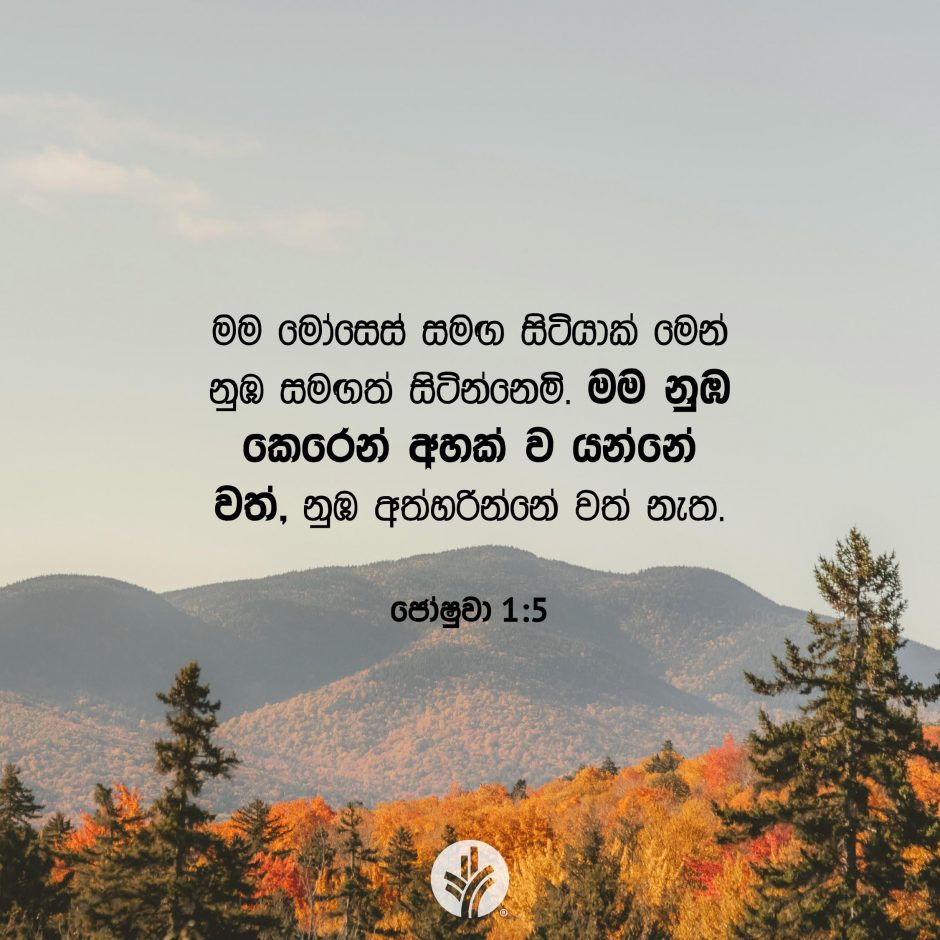 Share ODB 2025-09-27
