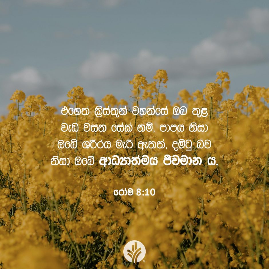 Share ODB 2025-09-29