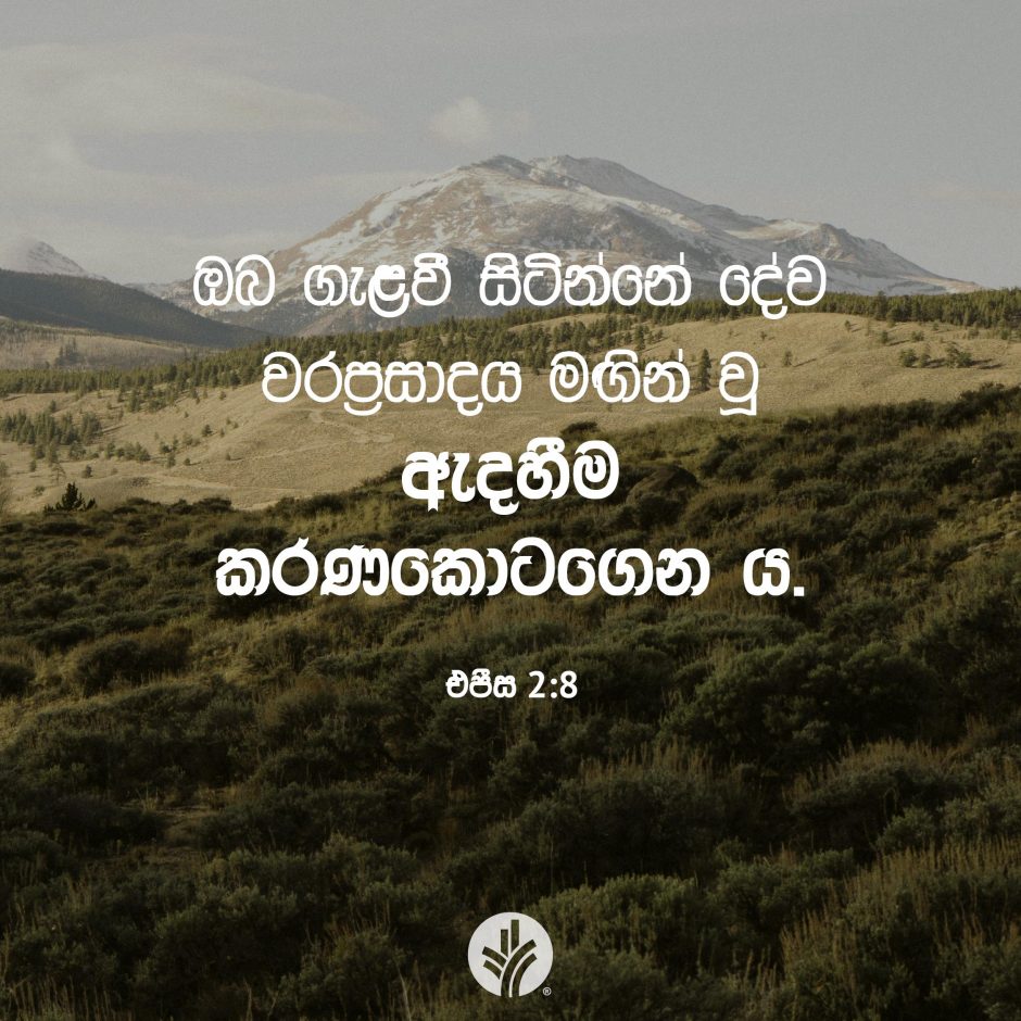 Share ODB 2025-09-30
