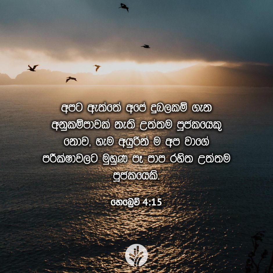 Share ODB 2025-10-04