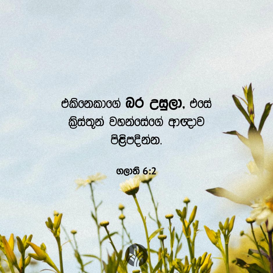 Share ODB 2025-10-05