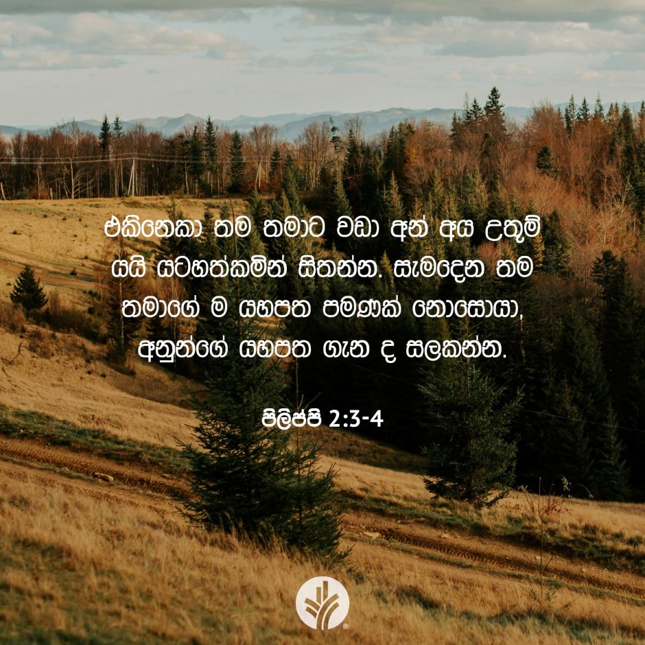Share ODB 2025-10-06