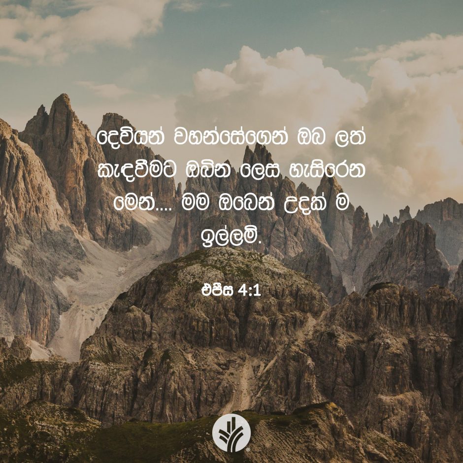 Share ODB 2025-10-08