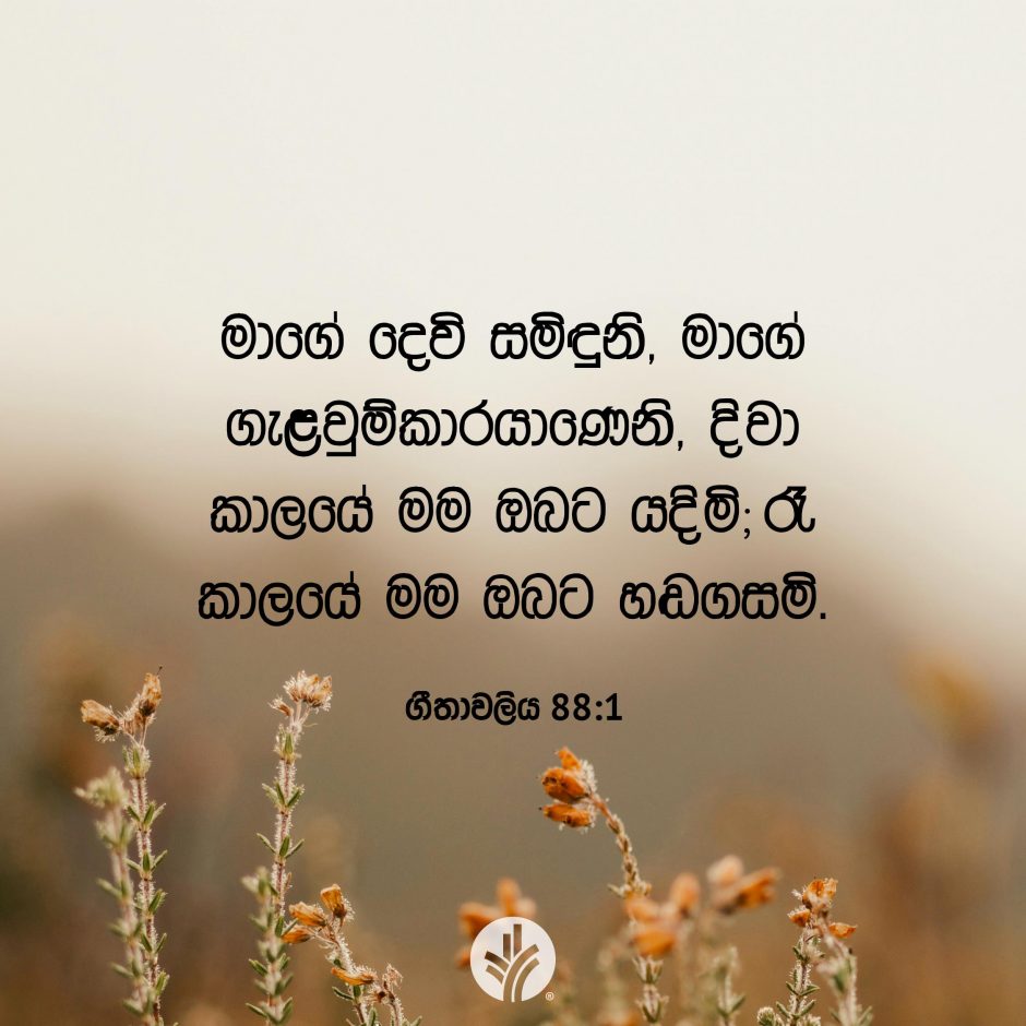 Share ODB 2025-10-10
