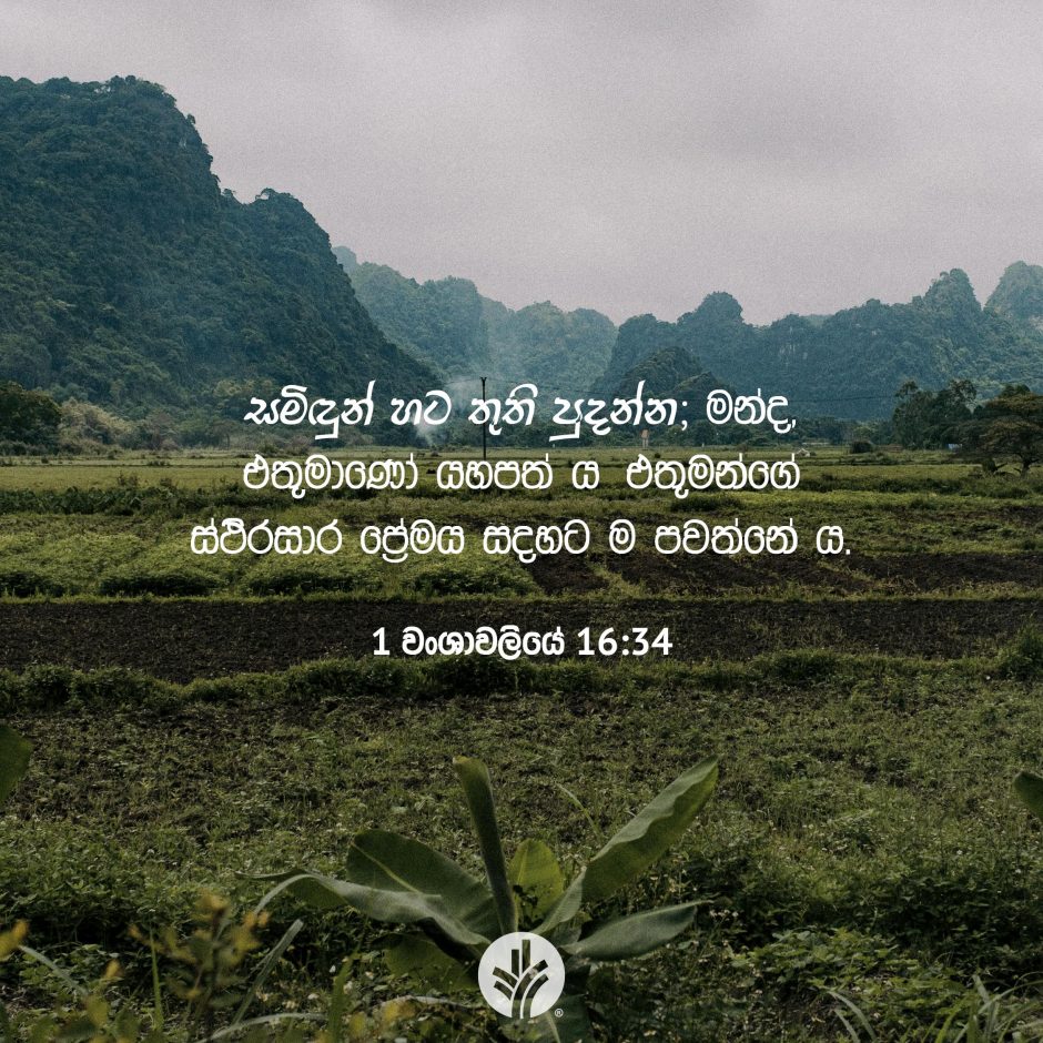 Share ODB 2025-10-13