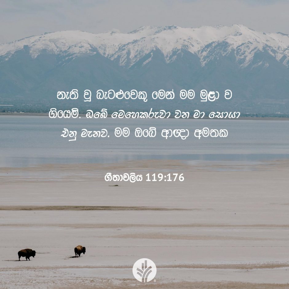 Share ODB 2025-10-16