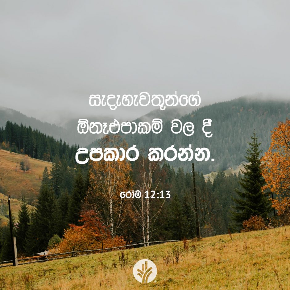 Share ODB 2025-10-17
