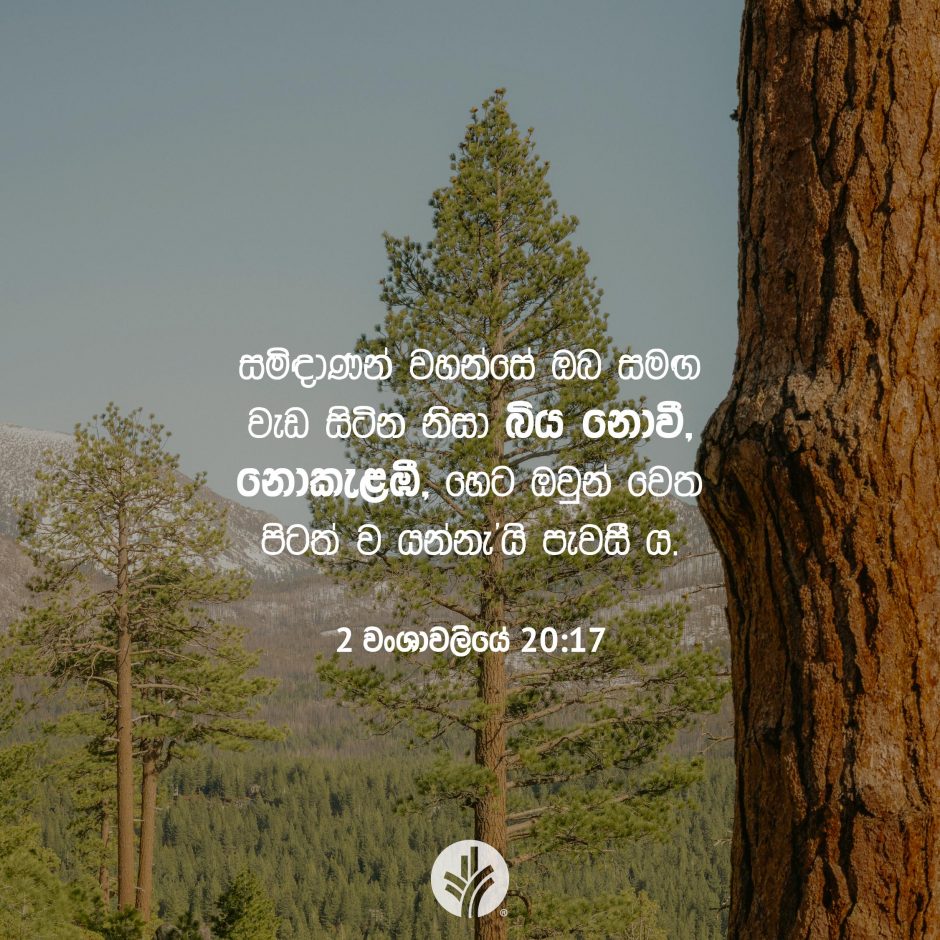 Share ODB 2025-10-18
