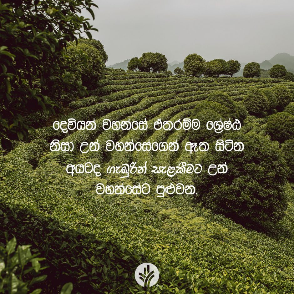 Share ODB 2025-10-20
