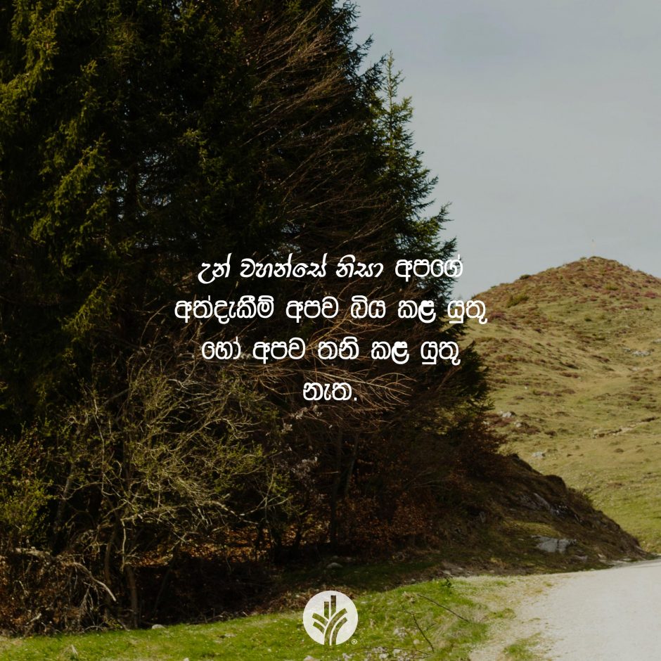 Share ODB 2025-10-22