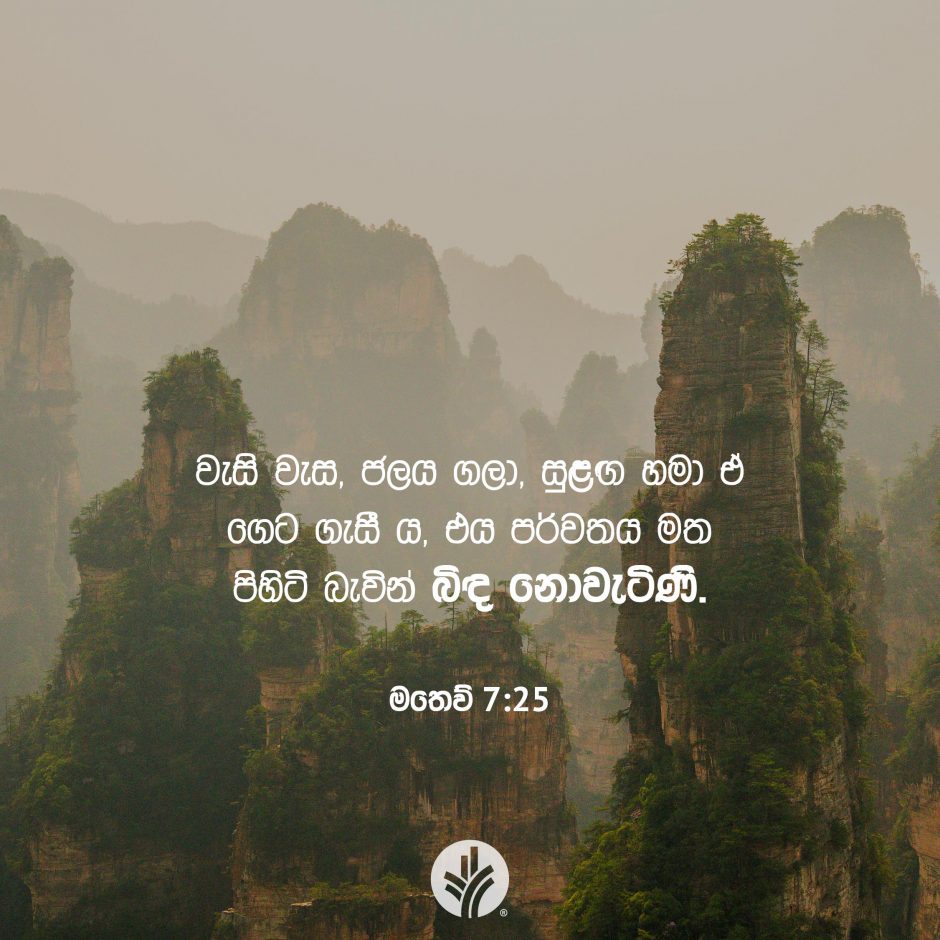 Share ODB 2025-10-28