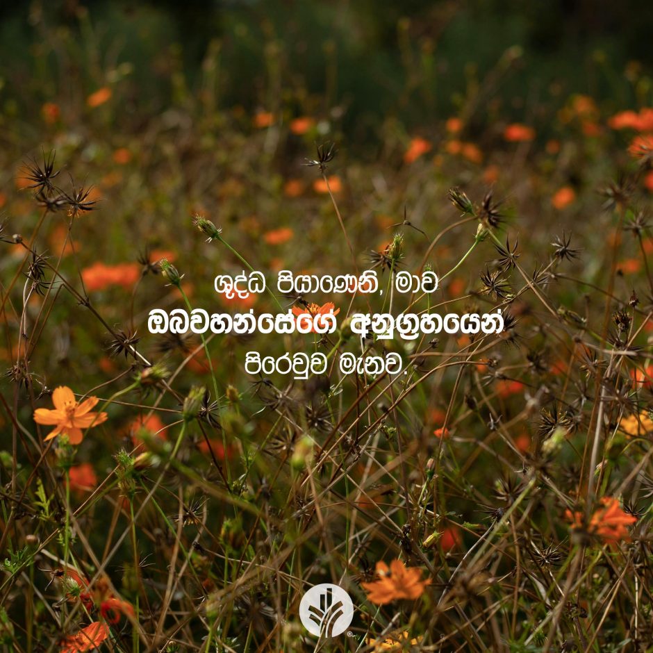 Share ODB 2025-10-30