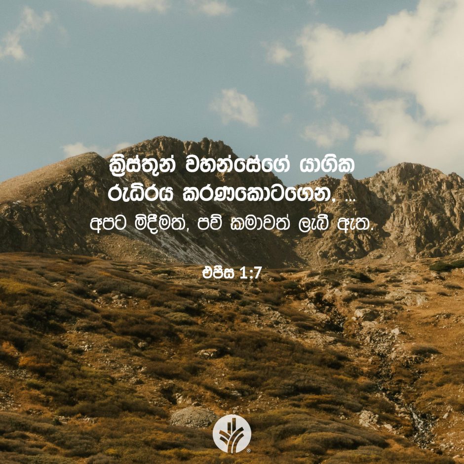 Share ODB 2025-10-31