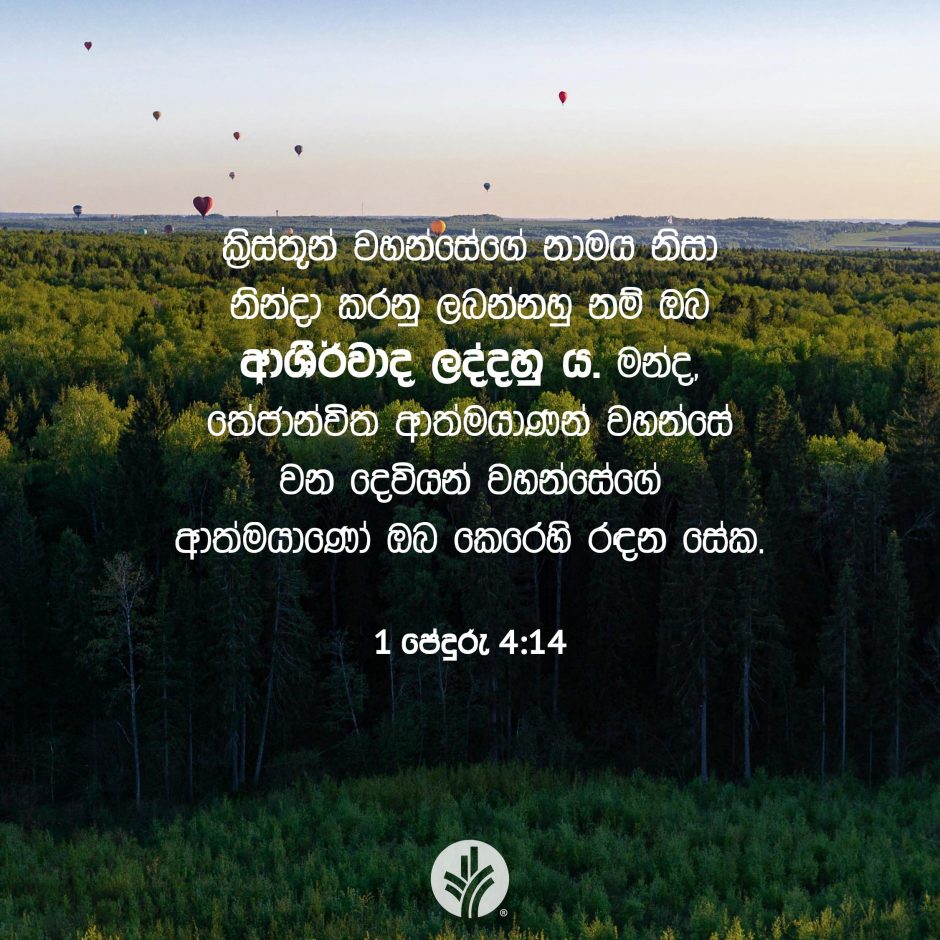 Share ODB 2025-11-02