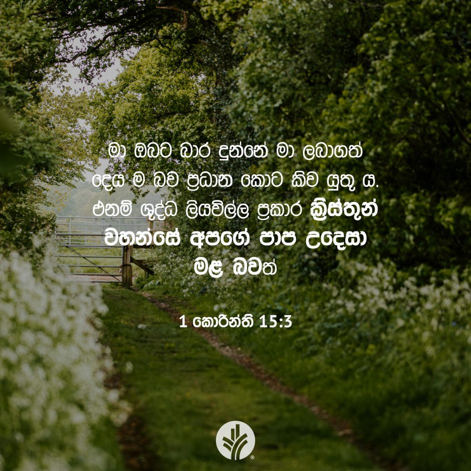 Share ODB 2025-11-06