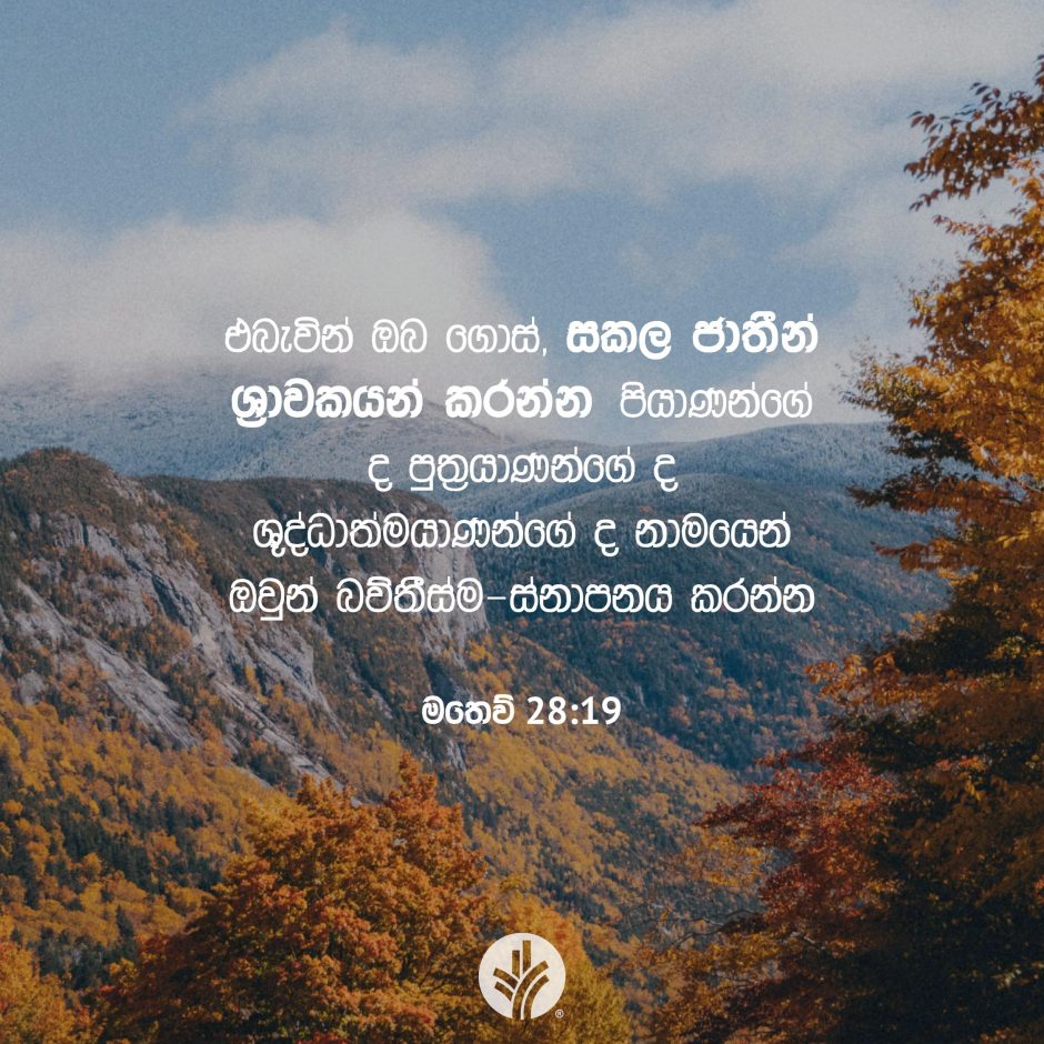 Share ODB 2025-11-09