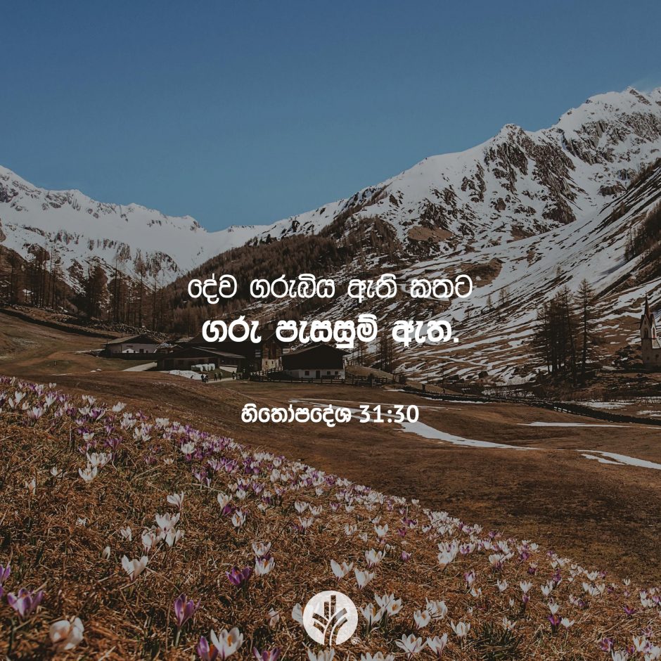 Share ODB 2025-11-10