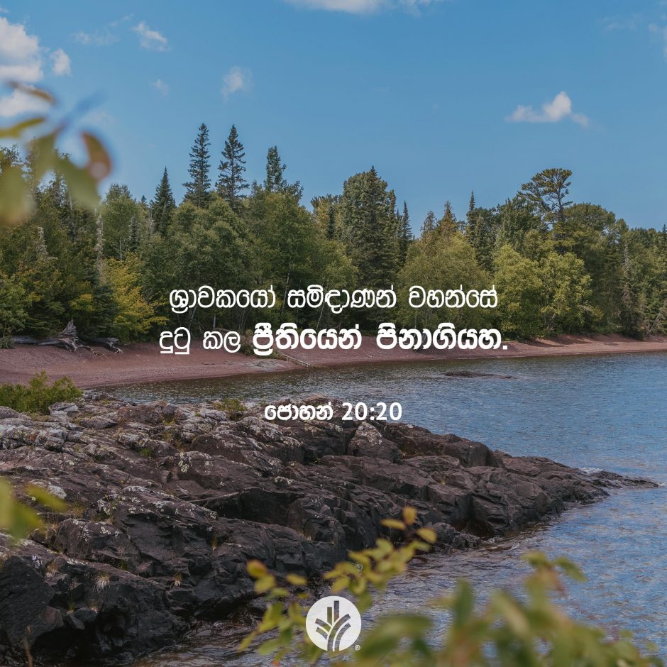 Share ODB 2025-11-11