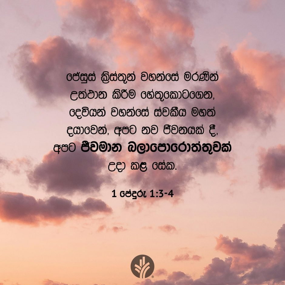 Share ODB 2025-11-12